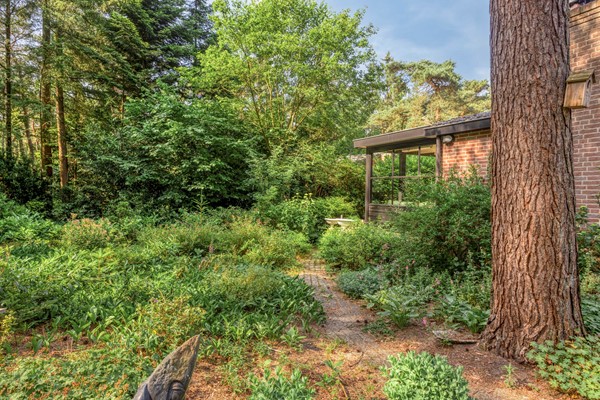 Medium property photo - Wolfhezerweg 120-76, 6874 AW Wolfheze